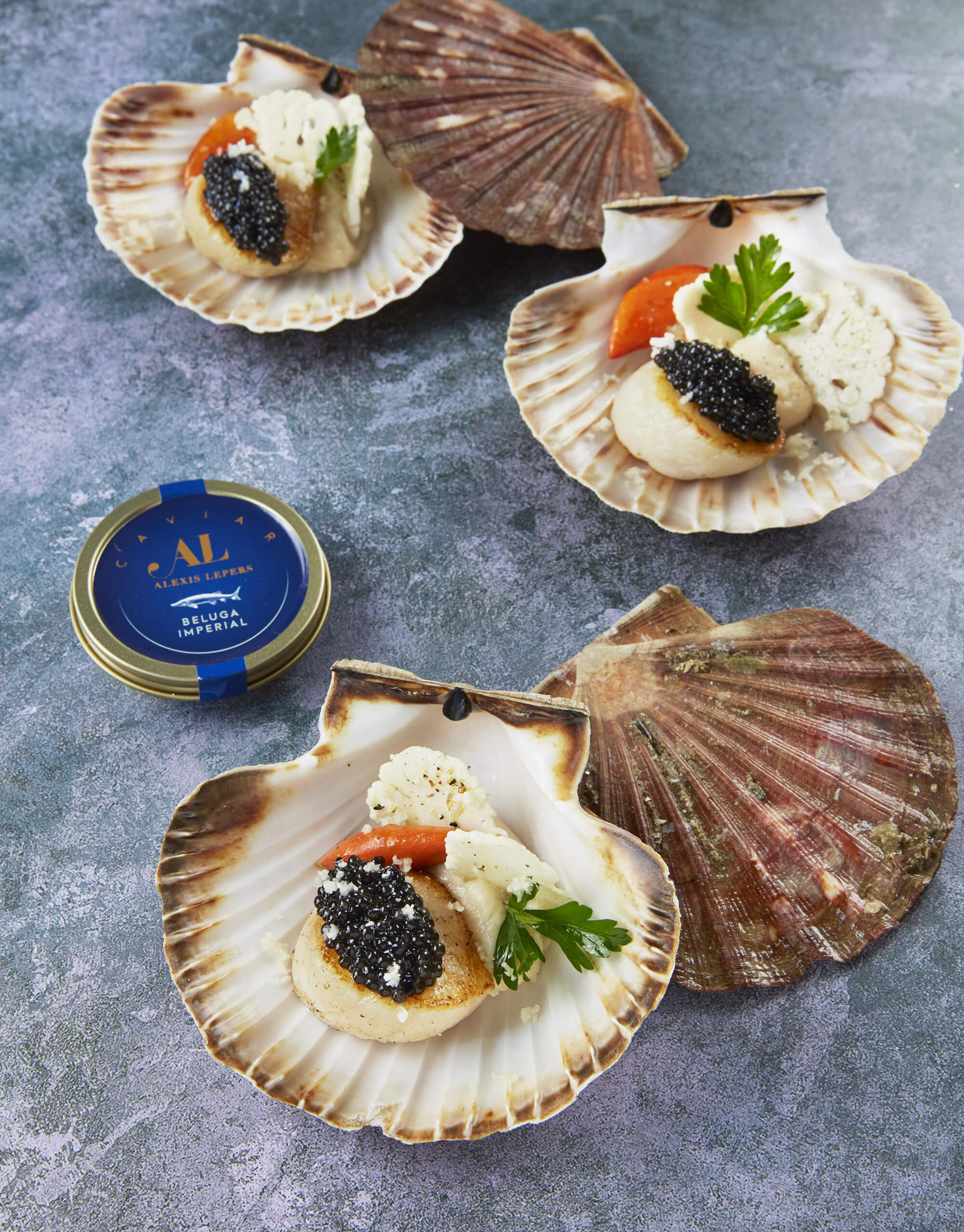 Coquilles Saint Jacques au