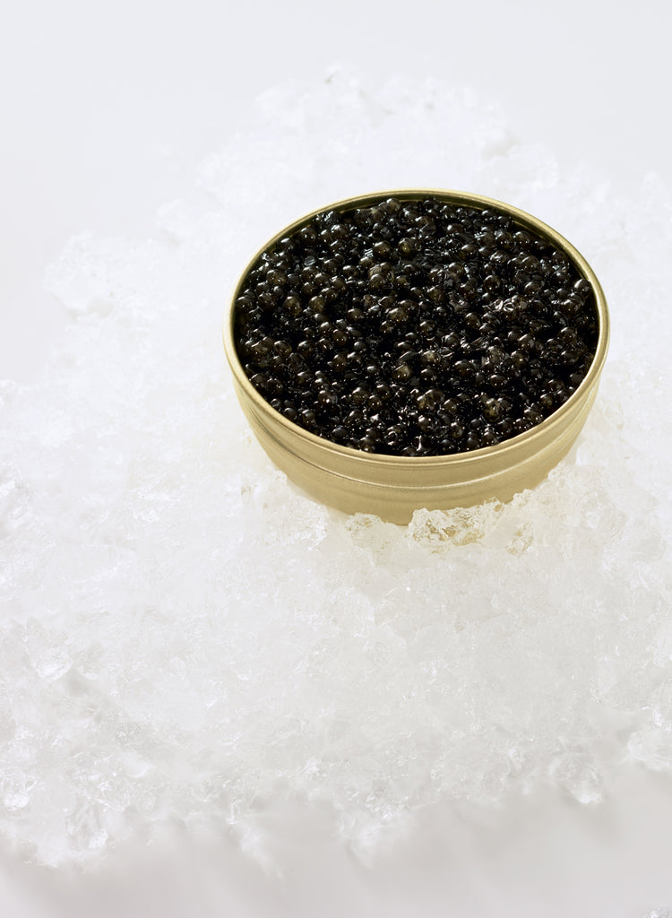 Caviar Transmontanus